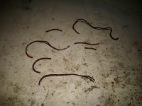 Reparatur und Restaurierung eines Grundig Tonbandgerätes " Reporter TK 9 "